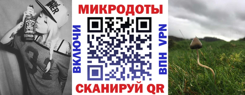 как найти наркотики  Отрадный  Галлюциногенные грибы MAGIC MUSHROOMS 